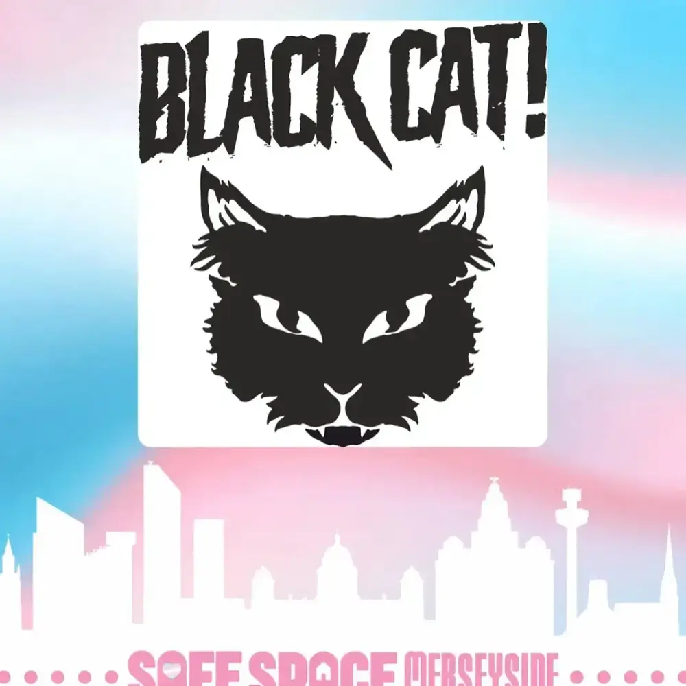 Featured image of post Black Cat Bar & Coffee Shop